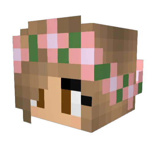 ENJl Minecraft avatar head, 3D render