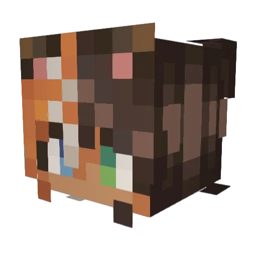 ENMinkers Minecraft avatar head, 3D render