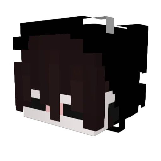ENTUSSIASMA Minecraft avatar head, 3D render