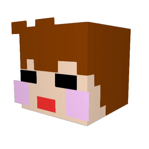 ENTY_1008 Minecraft avatar head, 3D render