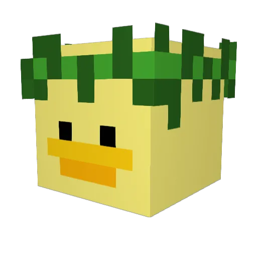 EN_CoolDuck Minecraft avatar head, 3D render