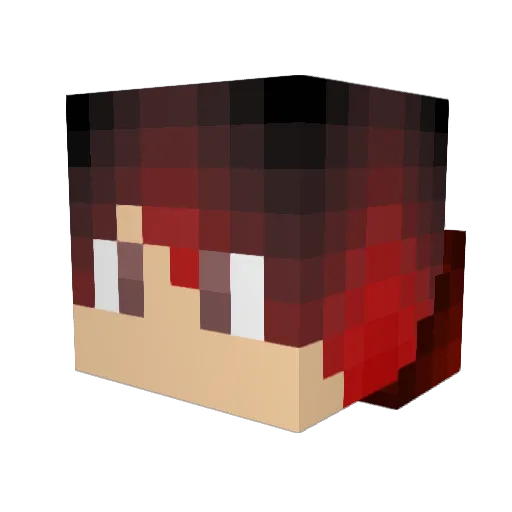 EPICGAMER924 Minecraft avatar head, 3D render