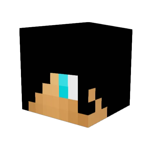 EPICSK1LLZ Minecraft avatar head, 3D render