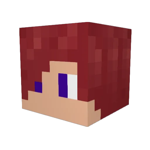 EPICgamer96 Minecraft avatar head, 3D render