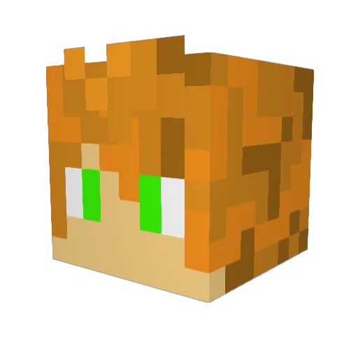 EPICmonkeys1212 Minecraft avatar head, 3D render