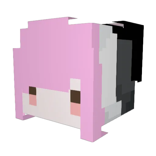 EPOLA Minecraft avatar head, 3D render