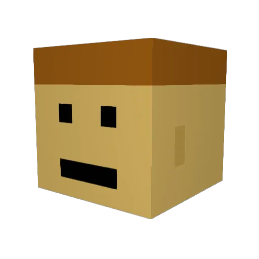 EPRparadoxon Minecraft avatar head, 3D render