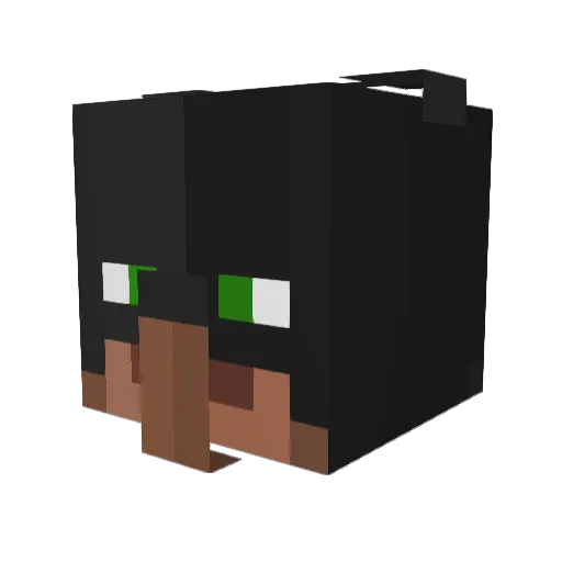 ER211 Minecraft avatar head, 3D render