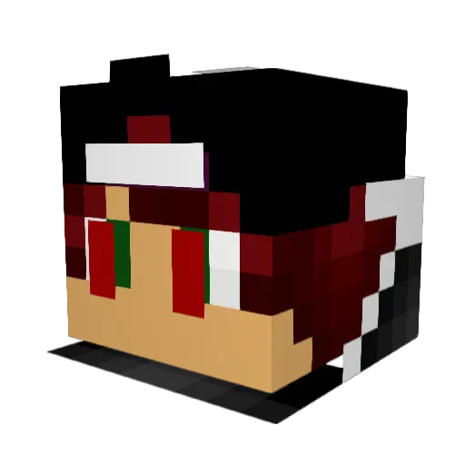 ER4Life Minecraft avatar head, 3D render