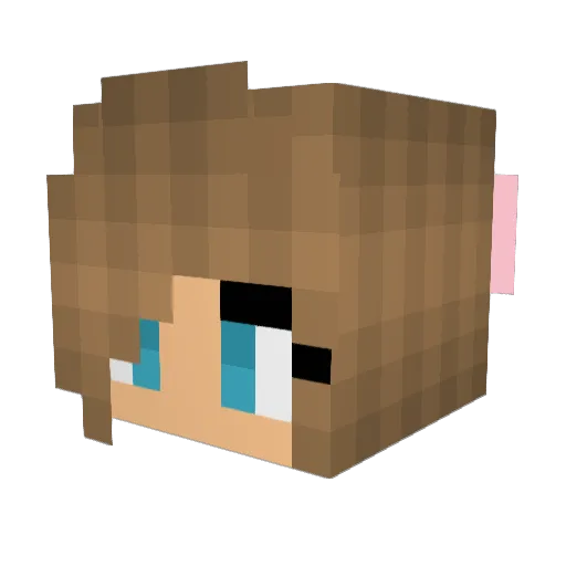 ERASER05 Minecraft avatar head, 3D render