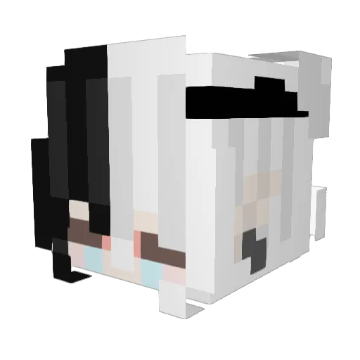 ERDMAENCHEN123 Minecraft avatar head, 3D render