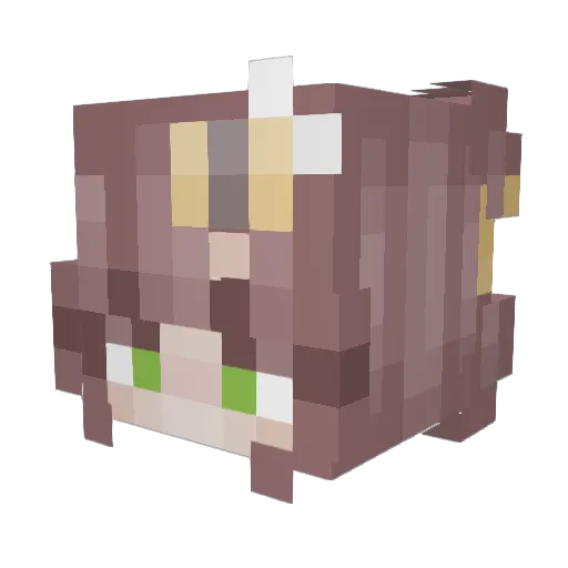 ERH24 Minecraft avatar head, 3D render