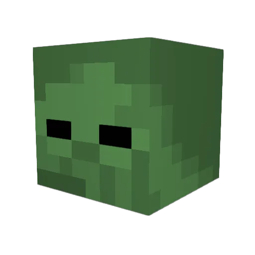 ERIN4210 Minecraft avatar head, 3D render