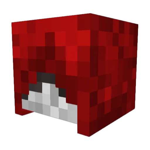 ERROR54 Minecraft avatar head, 3D render