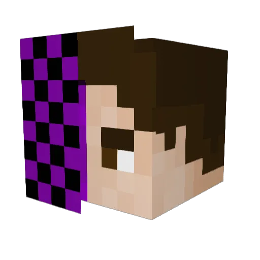 ERROR6665 Minecraft avatar head, 3D render