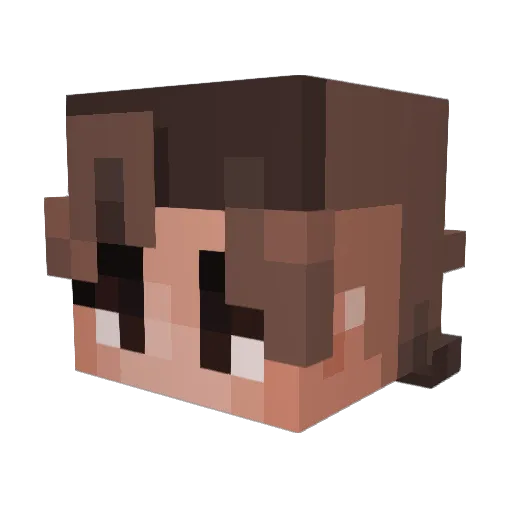 ERRORGAMER46 Minecraft avatar head, 3D render