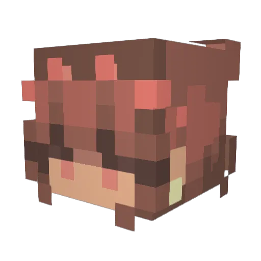 ERRORMISSING Minecraft avatar head, 3D render