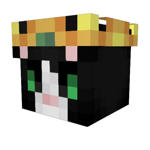 ERR_2839 Minecraft avatar head, 3D render