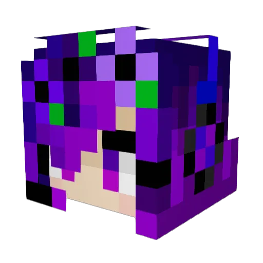 ERR_421 Minecraft avatar head, 3D render