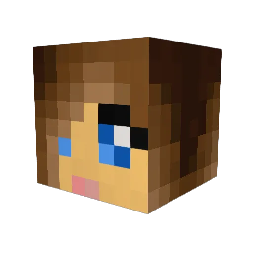 ERS2903 Minecraft avatar head, 3D render