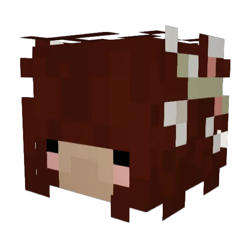 ERWL513 Minecraft avatar head, 3D render