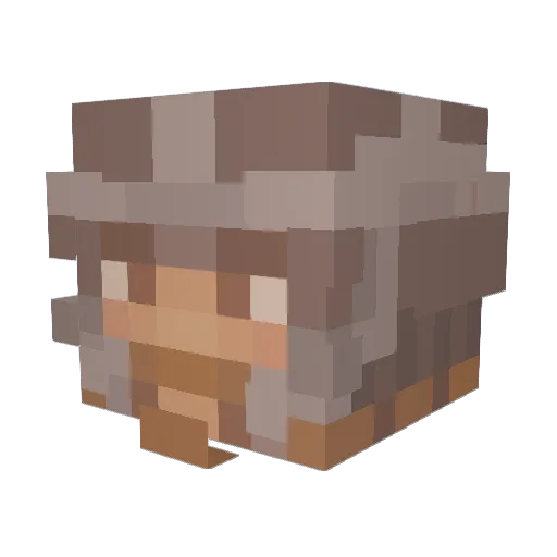 ER_EPR Minecraft avatar head, 3D render