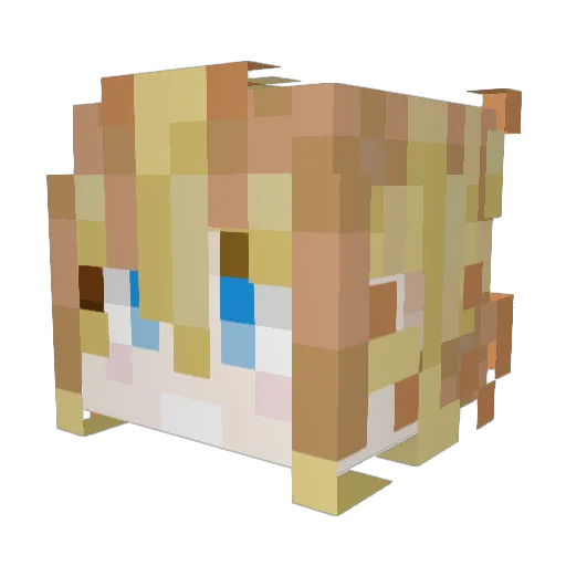 ESEN7 Minecraft avatar head, 3D render
