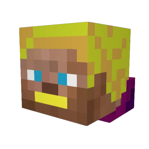 ESHOOTERRHIAN Minecraft avatar head, 3D render