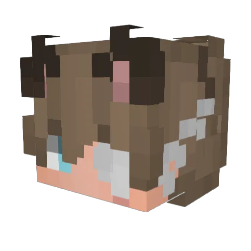 ESPSAMUESP Minecraft avatar head, 3D render