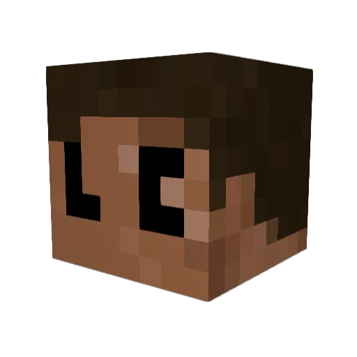 ESZXCUYGBN Minecraft avatar head, 3D render