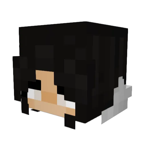 ETERNAL_1 Minecraft avatar head, 3D render