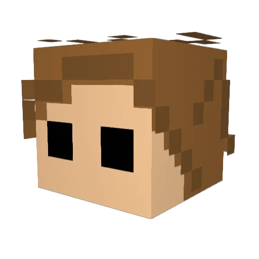 ETW007 Minecraft avatar head, 3D render