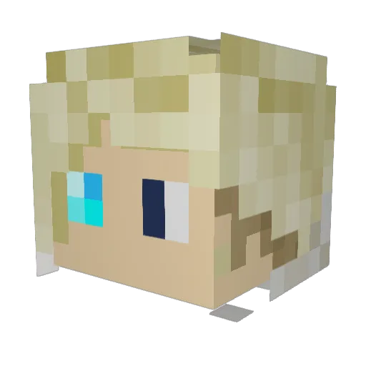 ETWG Minecraft avatar head, 3D render
