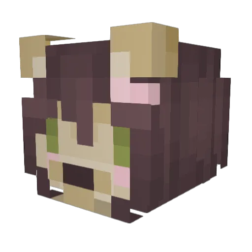 ET_Fox21 Minecraft avatar head, 3D render