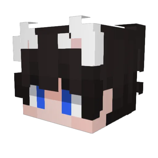 ETarNOoO Minecraft avatar head, 3D render