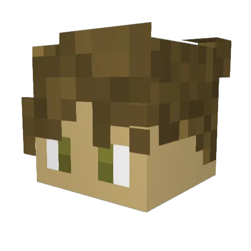 ETheMemer Minecraft avatar head, 3D render