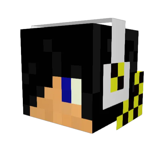 ETnachHause Minecraft avatar head, 3D render