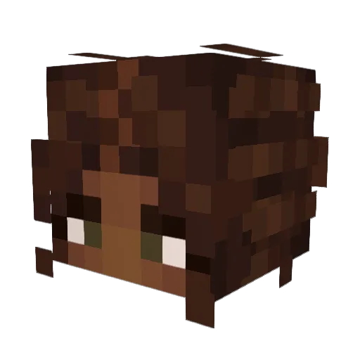 EUT123 Minecraft avatar head, 3D render