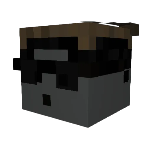 EV1NRUDE Minecraft avatar head, 3D render