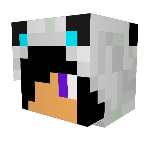 EVA5585 Minecraft avatar head, 3D render