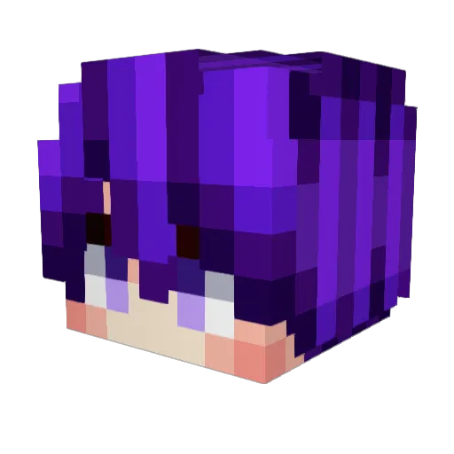 EVERYTHINGF0RY0U Minecraft avatar head, 3D render