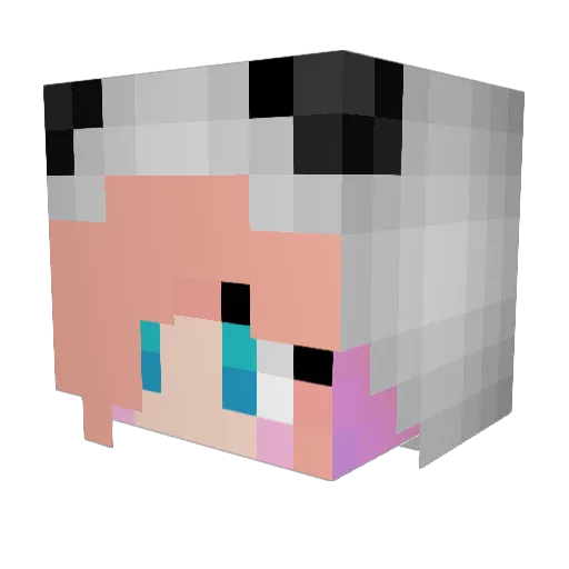 EVE_123123 Minecraft avatar head, 3D render
