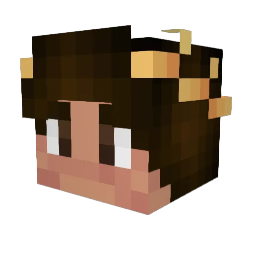 EVILGAMEING Minecraft avatar head, 3D render