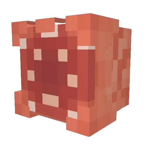 EVILSLAYER597 Minecraft avatar head, 3D render