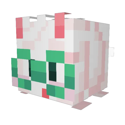 EVILSnek__ Minecraft avatar head, 3D render