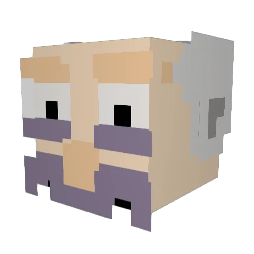 EVILWIZARD_ Minecraft avatar head, 3D render