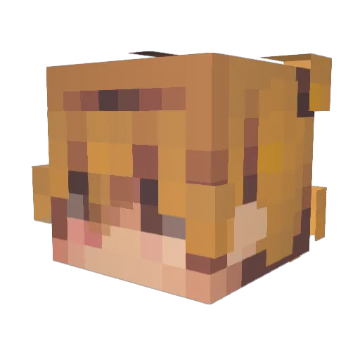 EVIL__LARRY Minecraft avatar head, 3D render