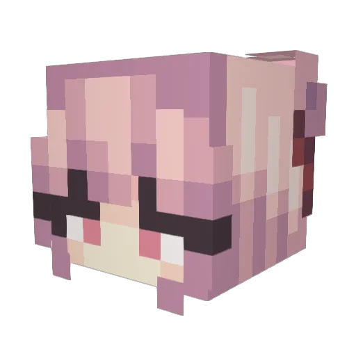 EWAG_ Minecraft avatar head, 3D render