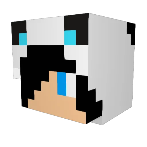EWhiskers Minecraft avatar head, 3D render