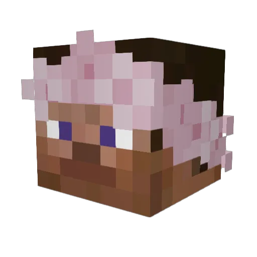 EWicKill3R Minecraft avatar head, 3D render
